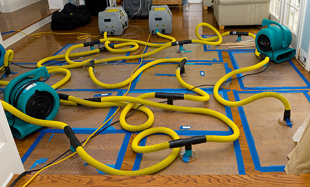 Professional Basement Flood Cleanup technician working in Stonington, ME